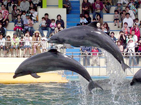 越前松島水族館